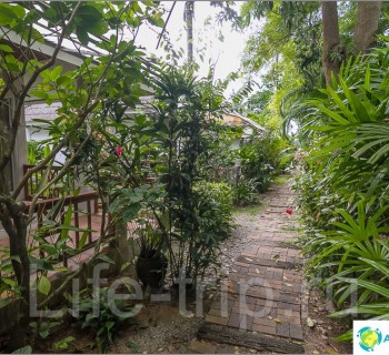 207-baan-bidamanda-1-bedroom-house-maenam-for-13500-baht