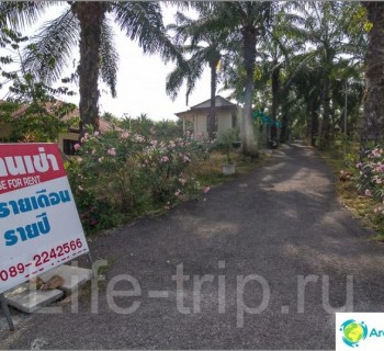 513-palm-cabana-resort-single-house-ao-nang