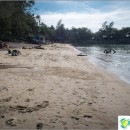 haad-khom-haad-khom-beach-or-coconut-cozy-and-uncrowded