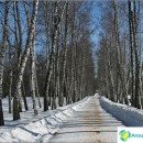the-yasnaya-polyana-museum-estate-tolstoy-at-winter-sunny-day