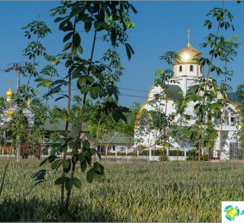 russian-orthodox-church-phuket-orthodox-christian-church