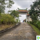 chinese-temple-koh-phangan-temple-complex-with-bunch-gods
