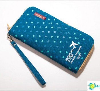 wallet-for-documents-and-money-travel-travel-wallet