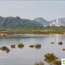 pranburi-forest-park-hua-hin-and-his-mysterious-mangroves
