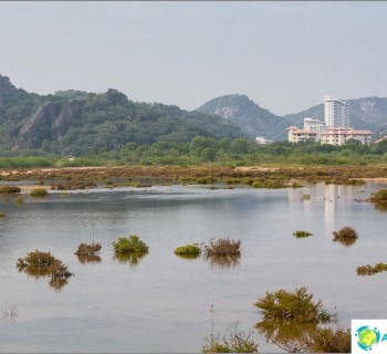 pranburi-forest-park-hua-hin-and-his-mysterious-mangroves