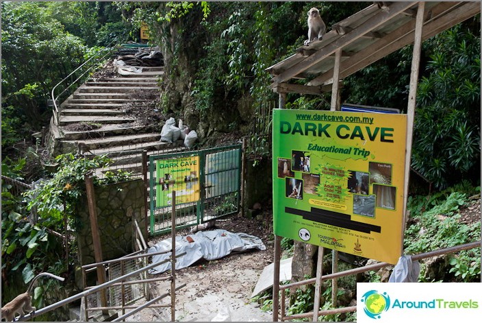 Dark Cave Dark Cave