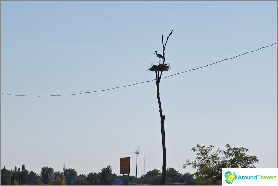 Artificial stork near Azov
