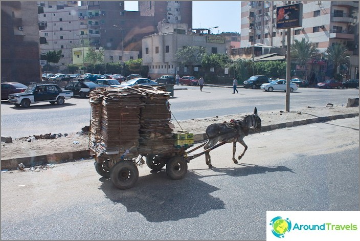 Egypt. Cairo. One of the vehicles. Egypt. Cairo. One of the vehicles.