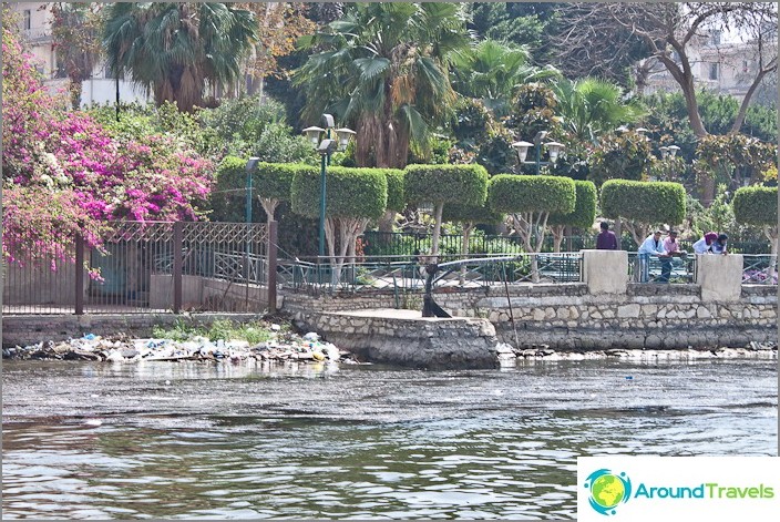 Egypt. Cairo. Park on the embankment of the Nile. Egypt. Cairo. Park on the embankment of the Nile.
