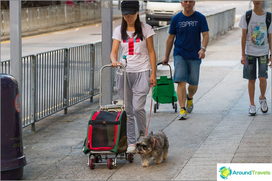 Silver Strand Beach in Hong Kong (24)