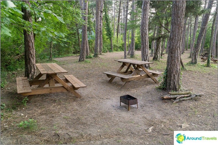 Glades are equipped with tables and barbecue.