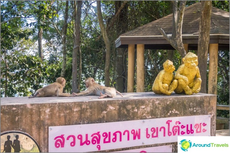 Monkey Mountain in Phuket