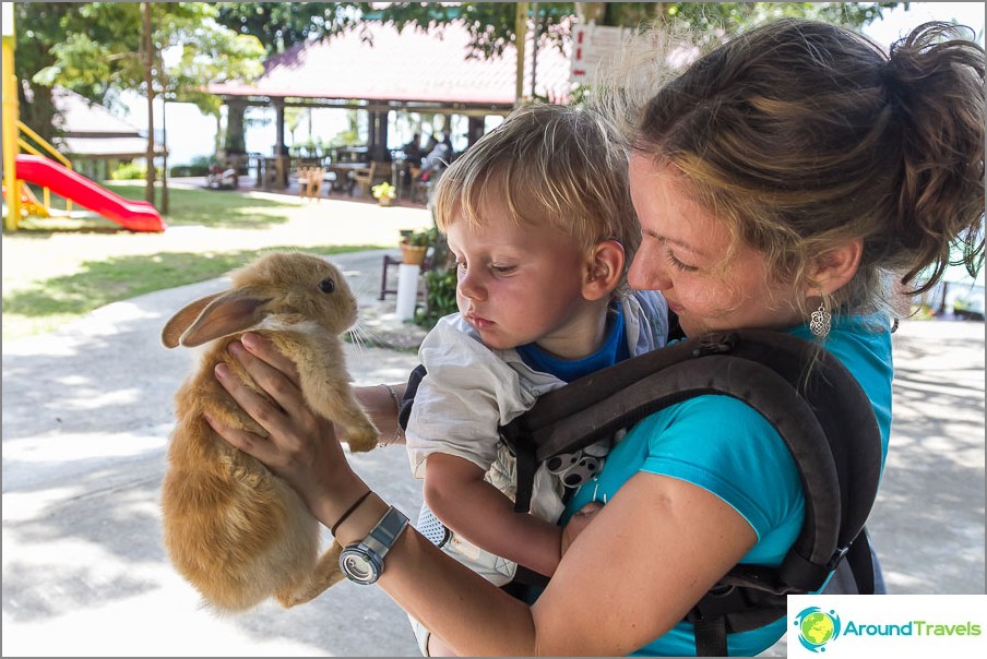 Egor is afraid of the rabbit more than he is (Paradise Park)
