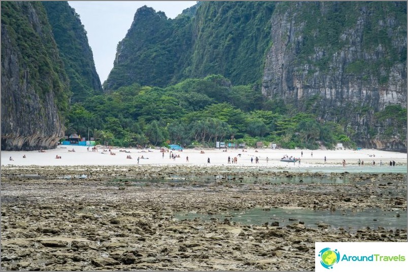 View of Maya Bay from this beach