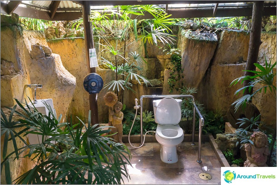 Just a beautiful toilet, I'll do the same in my villa on the beach when I buy it.