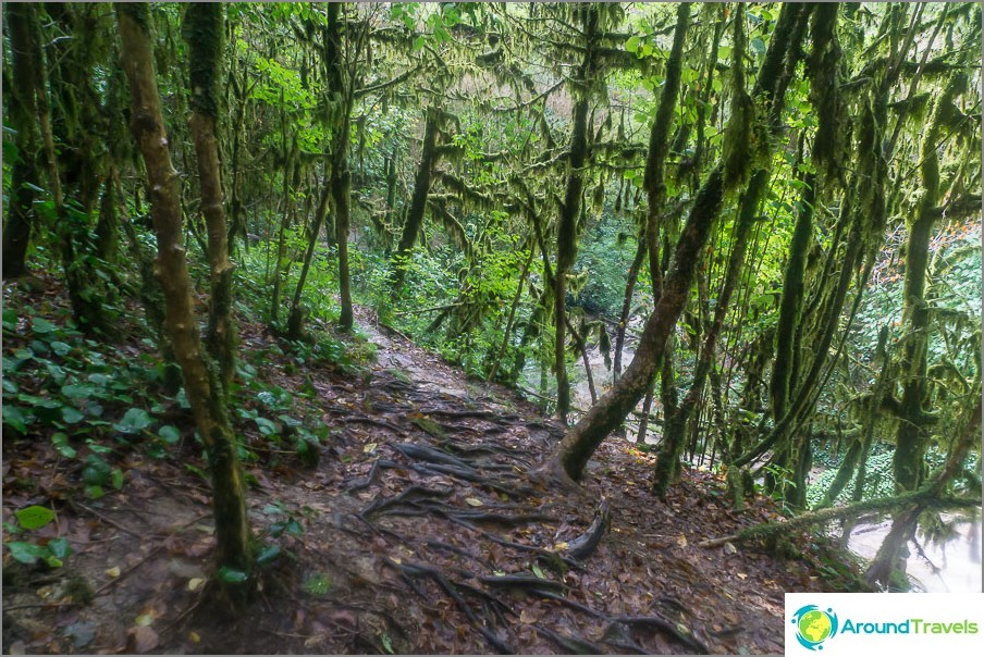 The path goes a mile ahead
