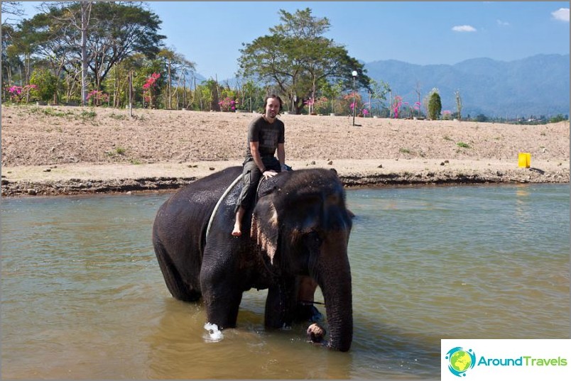 Elephant Riding in Thailand