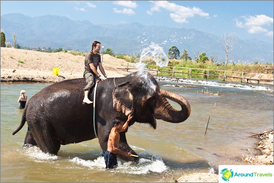 Riding on an elephant and swimming succeeded, it's time to go home