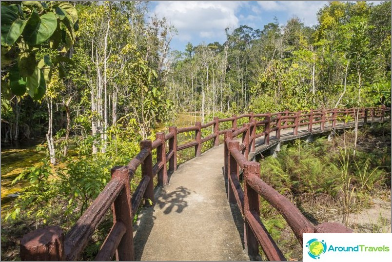 Bridges pass through trees and open spaces.