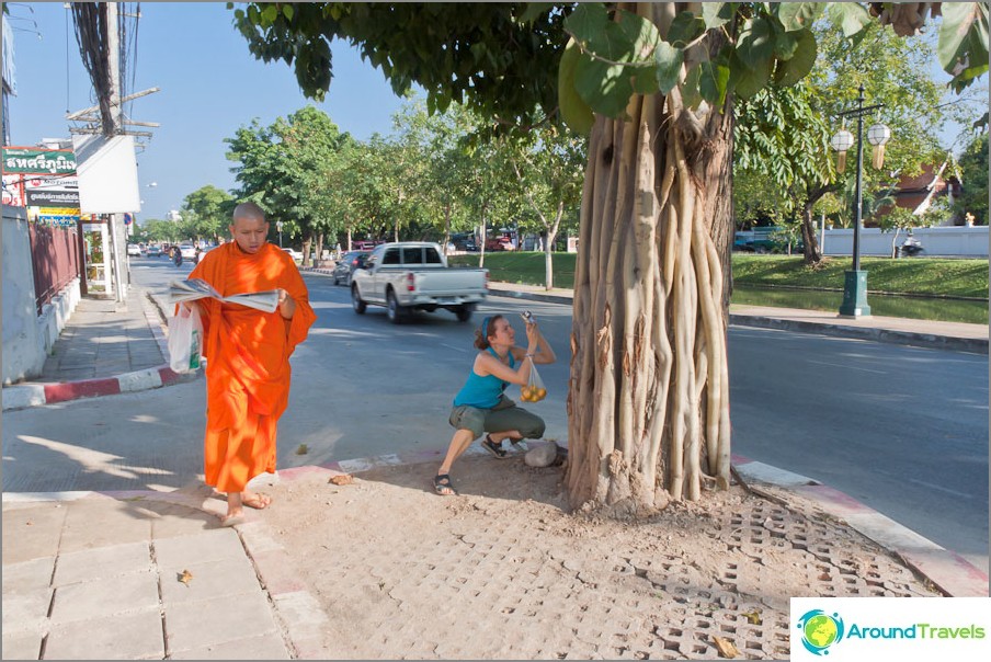 Monks go everywhere in the city