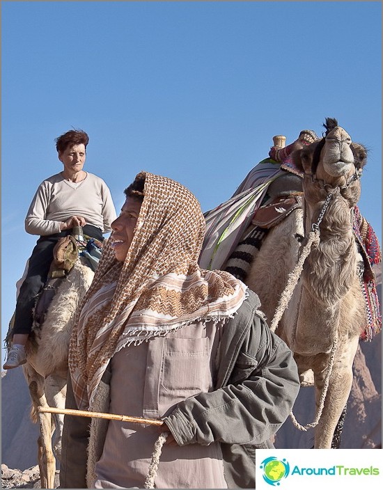 Mount Moses. Young Bedouin and his dromedar.
