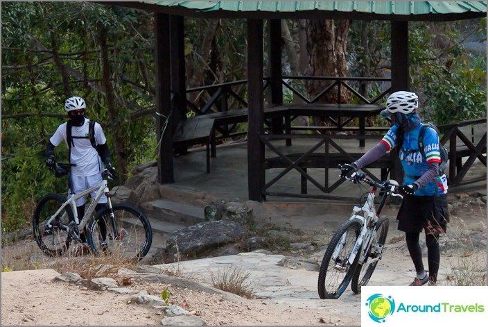 Bike Ninjas love nature too