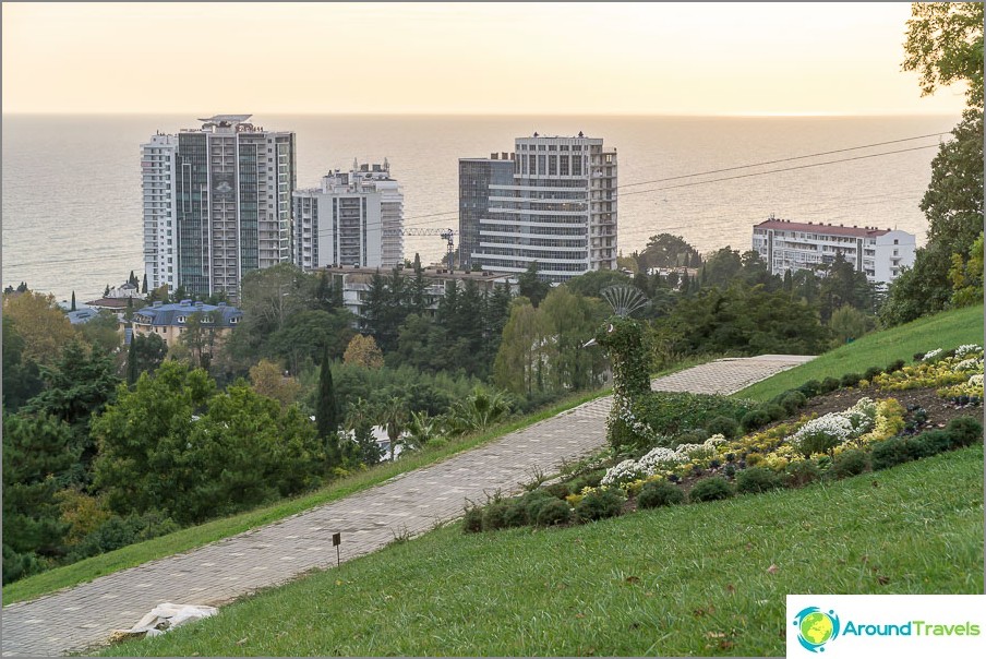 Sochi Arboretum, at the top