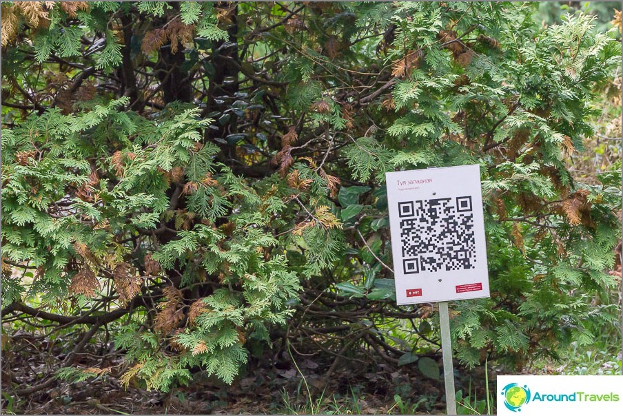 Some plants are not only signed, but also have a QR code