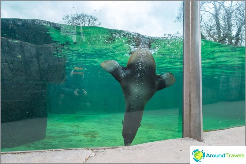 Prague Zoo