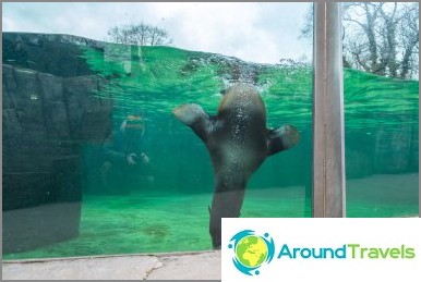 Prague Zoo - 3 hours of fun in the winter and summer, all information