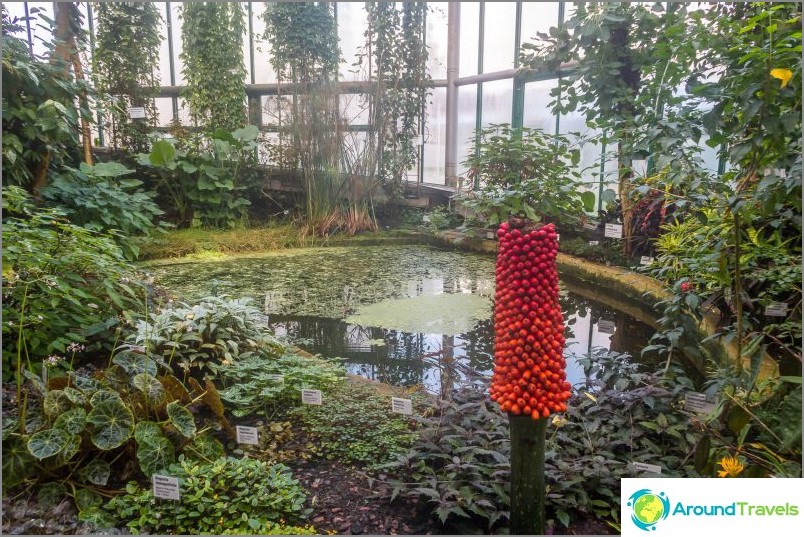 One of the tropical rooms in the Botanic Garden of Liberec
