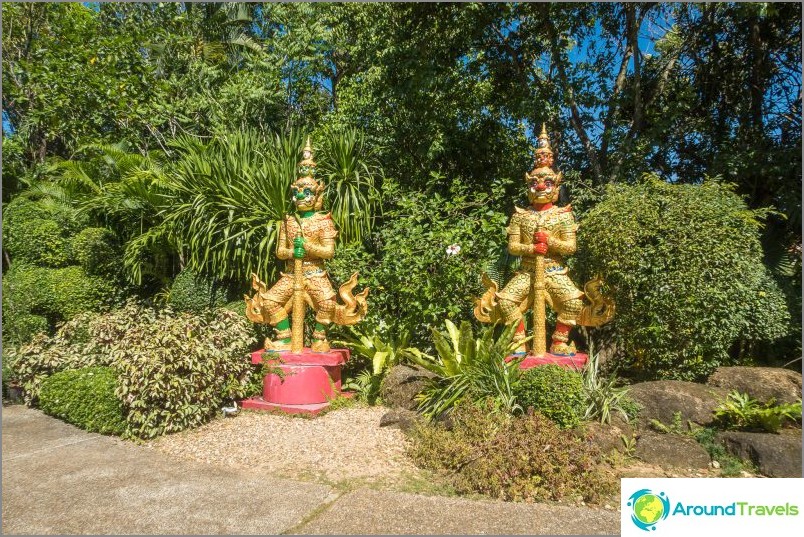 Phuket Botanical Garden - for plant lovers and selfies
