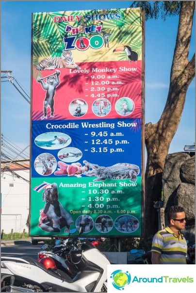 Schedule show at the zoo Phuket