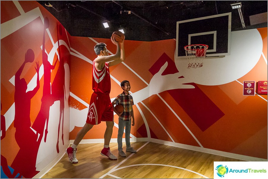 Tallest basketball player