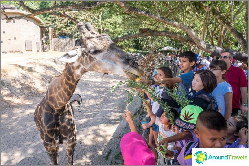Contact Zoo Khao Kheo
