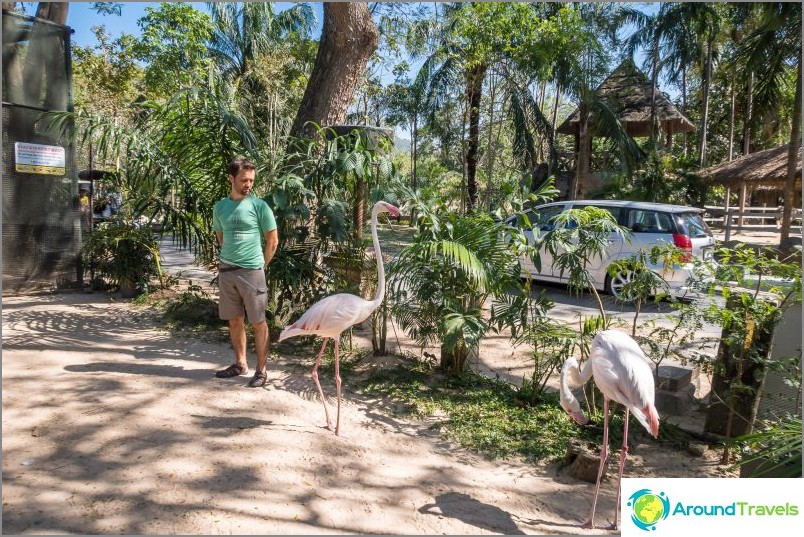 Zoo Khao Kheo in Pattaya