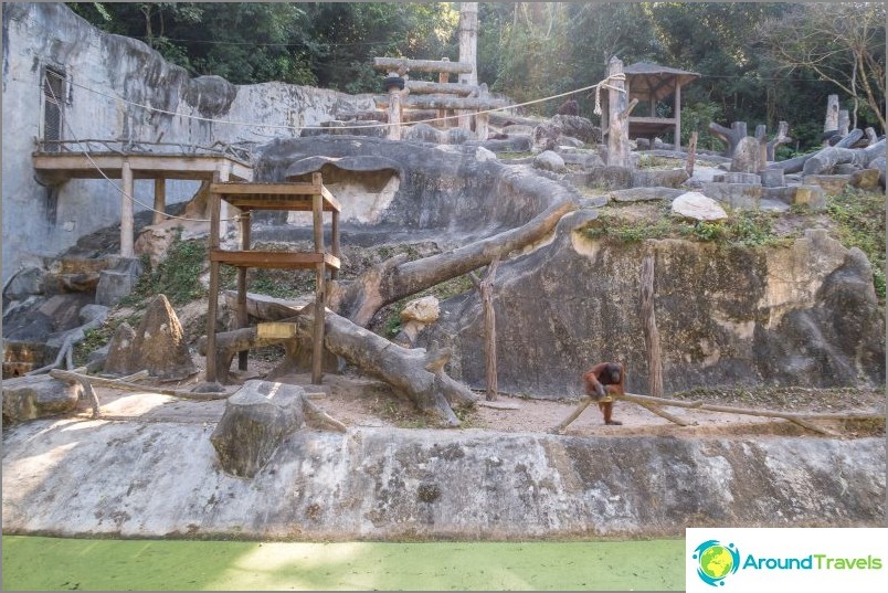 Zoo Khao Kheo in Pattaya - the best in Thailand