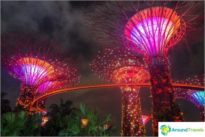 Light show with trees from Avatar in Singapore - a must-see!