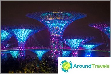 Avatar Tree Show in Singapore