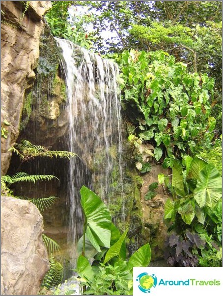 Waterfall in the Ginger Garden. commons.wikimedia / Calvin teo