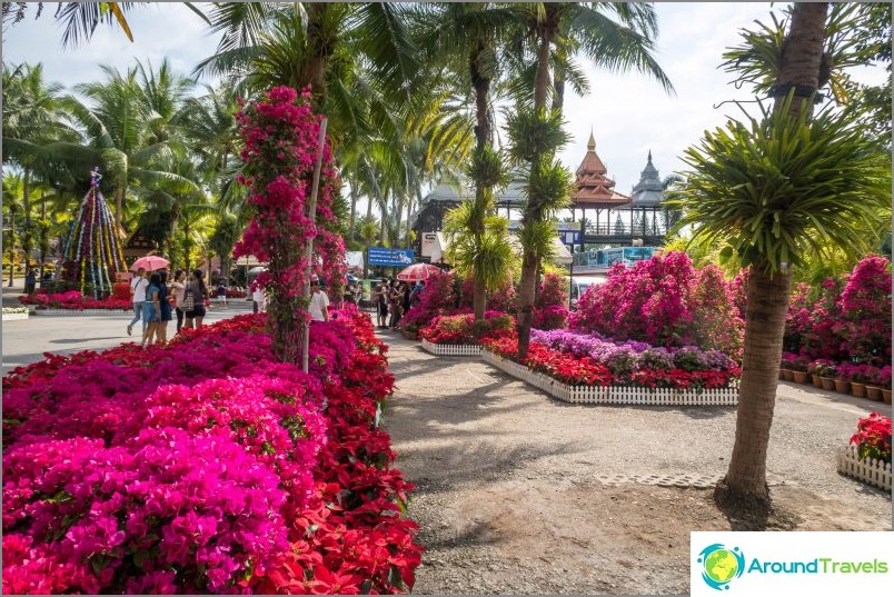 Tropical Park Nong Nooch in Pattaya - the main attraction