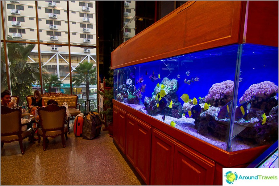 In the lobby, aquariums with fish