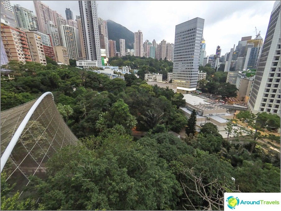 View from the lookout in Hong Kong park