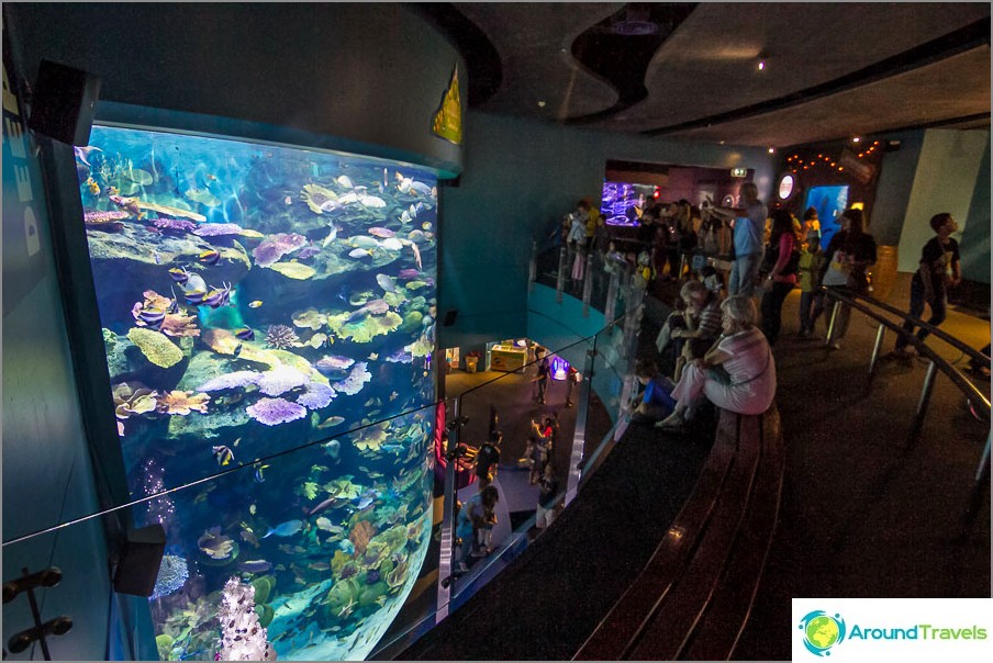 One of the huge aquariums with colorful fish