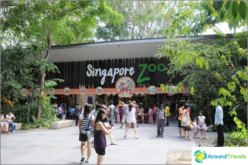 Zoo in Singapore Manday