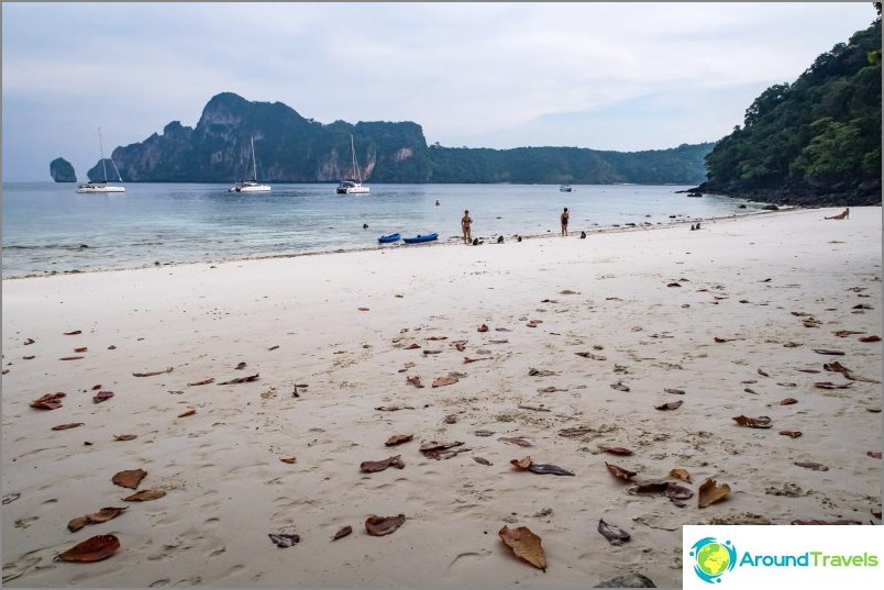 Monkey Beach Beach - Monkey Paradise on Phi Phi Don