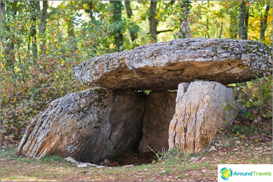 Dolmen stands just in the forest