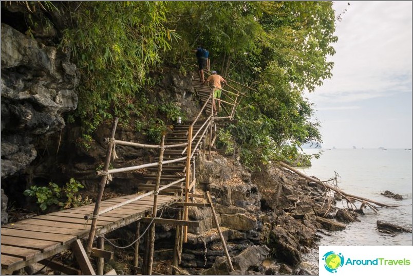 Well, on the rise there are already bamboo rails and stairs made of different materials.