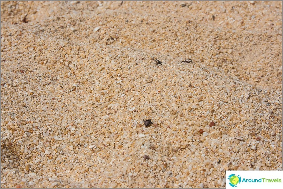 the-bang-po-beach-bang-por-beach-fine-sand-silt-bottom-turbid-sear-09