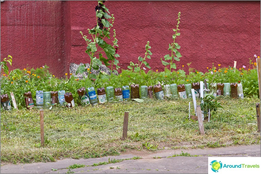 Flowerbed with plastic bottles fence